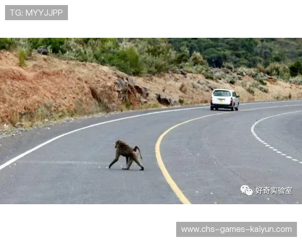 维尼修斯高速回追再反超极其顽强