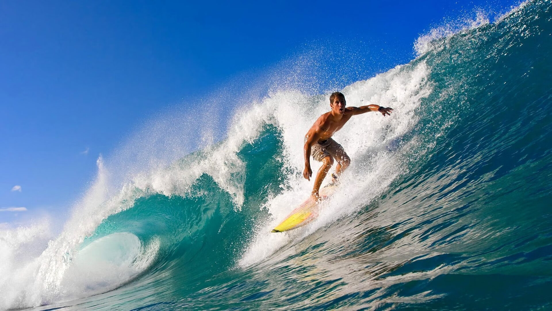 世界排名更新 多名选手排名上升